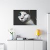 91638-367.jpg Bicolor Cat with Piercing Blue Eyes Standard Canvas
