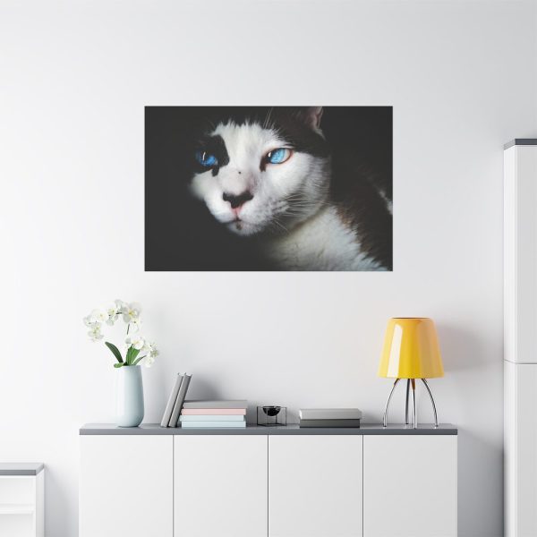 91638-367.jpg Bicolor Cat with Piercing Blue Eyes Standard Canvas