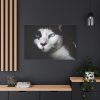 91638-368.jpg Bicolor Cat with Piercing Blue Eyes Standard Canvas