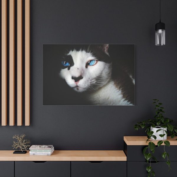 91638-368.jpg Bicolor Cat with Piercing Blue Eyes Standard Canvas