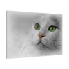 91638-370.jpg Beautiful Cat with Green Eyes Standard Canvas
