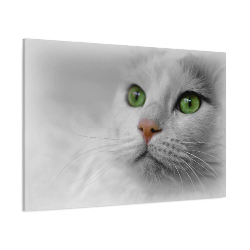91638-370.jpg Beautiful Cat with Green Eyes Standard Canvas