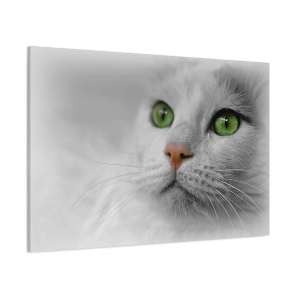 91638-370.jpg Beautiful Cat with Green Eyes Standard Canvas