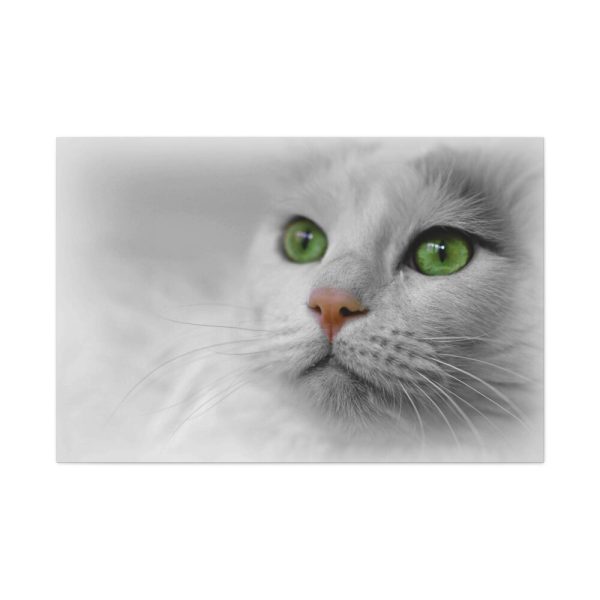 91638-371.jpg Beautiful Cat with Green Eyes Standard Canvas