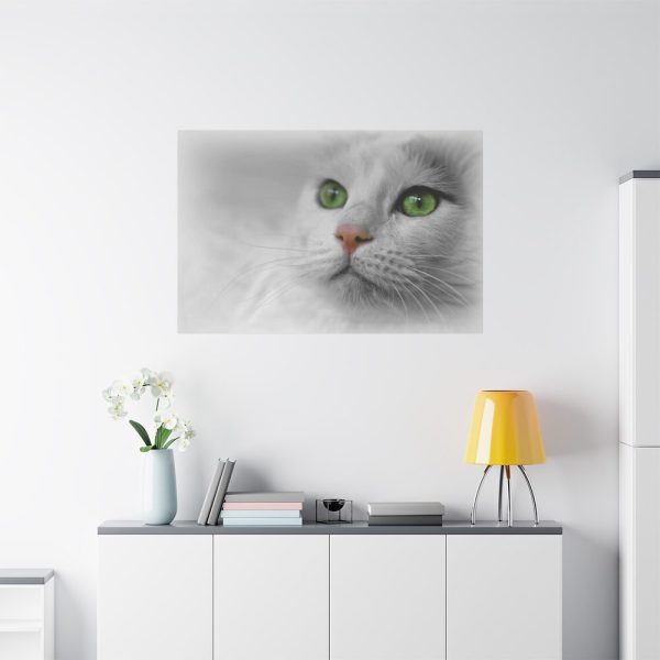 91638-372.jpg Beautiful Cat with Green Eyes Standard Canvas
