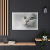 91638-373.jpg Beautiful Cat with Green Eyes Standard Canvas