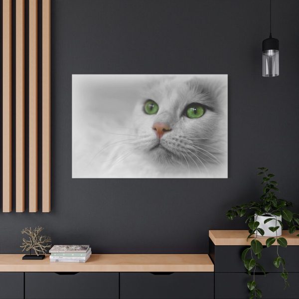 91638-373.jpg Beautiful Cat with Green Eyes Standard Canvas