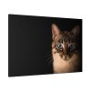 91638-375.jpg Cute Cat with Blue Eyes Standard Canvas