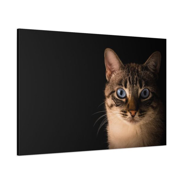 91638-375.jpg Cute Cat with Blue Eyes Standard Canvas