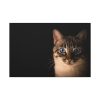 91638-376.jpg Cute Cat with Blue Eyes Standard Canvas