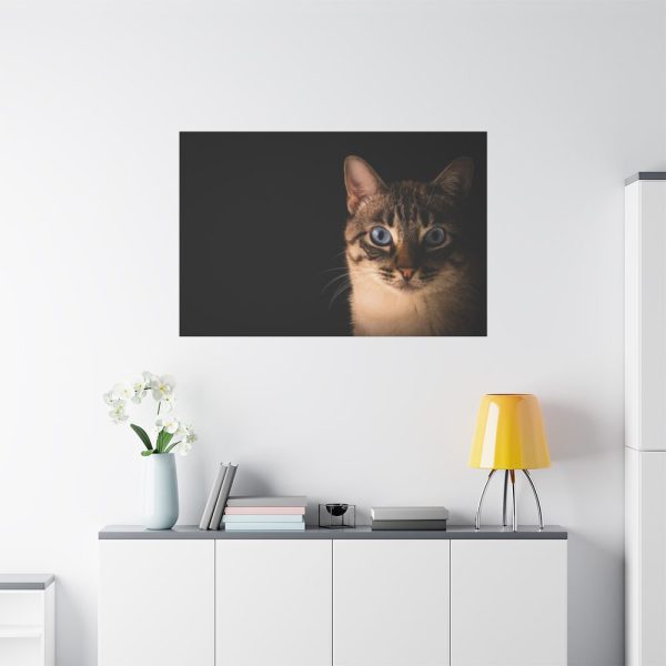 91638-377.jpg Cute Cat with Blue Eyes Standard Canvas