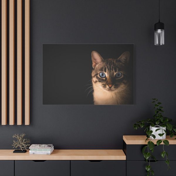 91638-378.jpg Cute Cat with Blue Eyes Standard Canvas