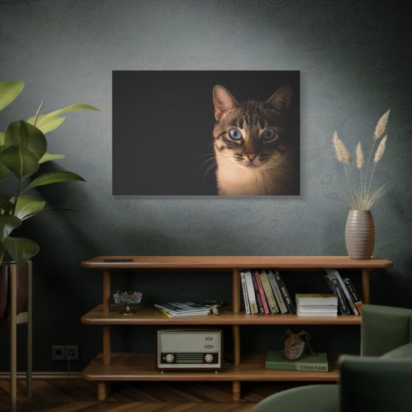 91638-379.jpg Cute Cat with Blue Eyes Standard Canvas