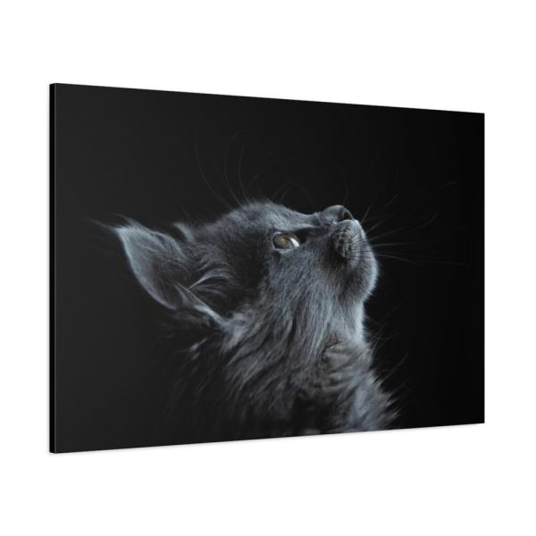 91638-380.jpg Cute Gray Cat Standard Canvas