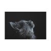 91638-381.jpg Cute Gray Cat Standard Canvas