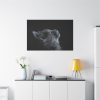 91638-382.jpg Cute Gray Cat Standard Canvas