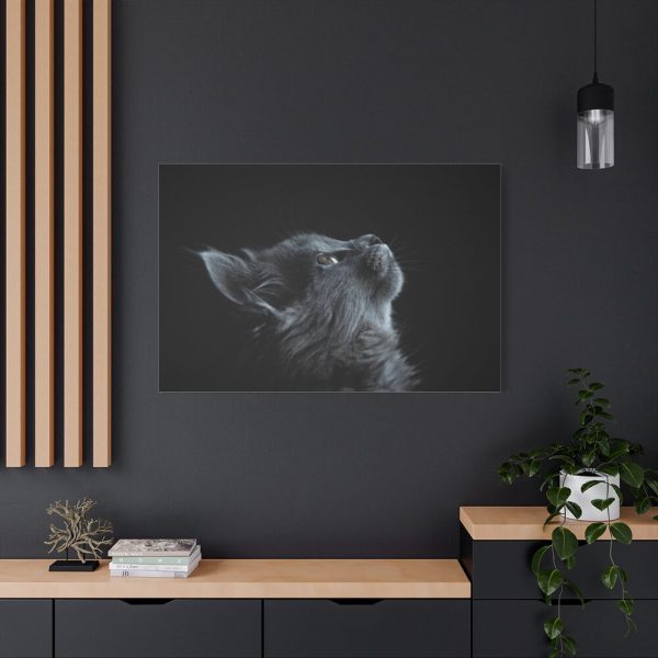 91638-383.jpg Cute Gray Cat Standard Canvas