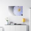 91638-387.jpg White Gerbera Standard Canvas