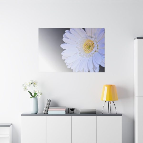 91638-387.jpg White Gerbera Standard Canvas