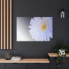 91638-388.jpg White Gerbera Standard Canvas