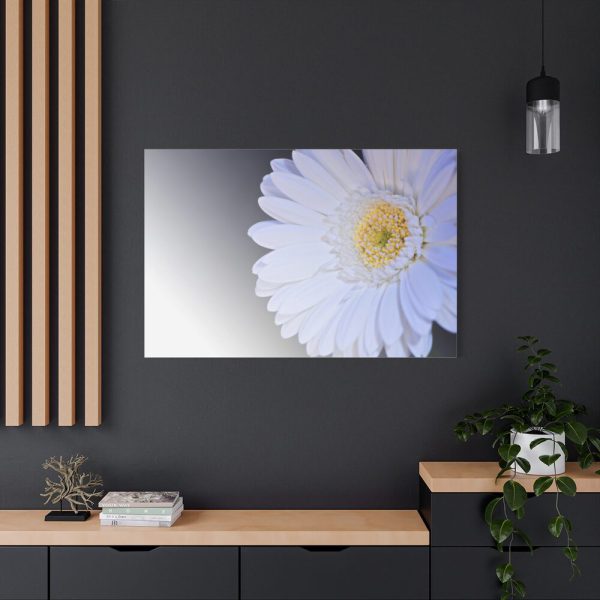91638-388.jpg White Gerbera Standard Canvas