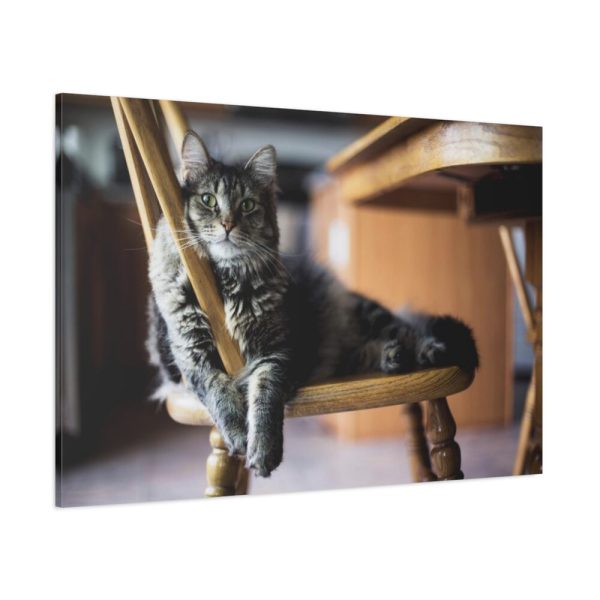 91638-390.jpg Beautiful Cat on Chair Standard Canvas