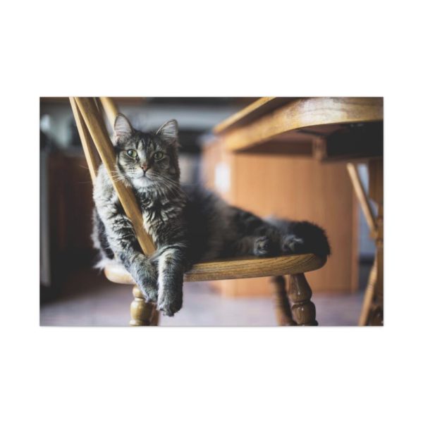 91638-391.jpg Beautiful Cat on Chair Standard Canvas