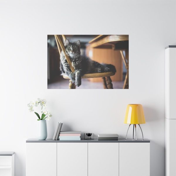 91638-392.jpg Beautiful Cat on Chair Standard Canvas