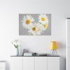 91638-397.jpg White Daisy Bloom Standard Canvas