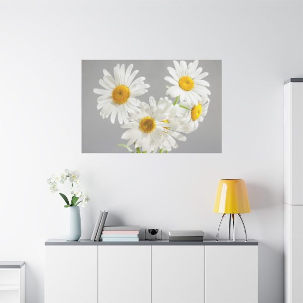 91638-397.jpg White Daisy Bloom Standard Canvas