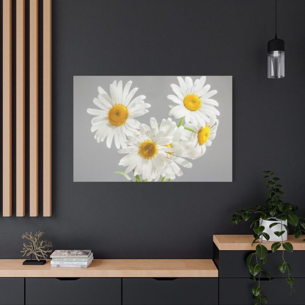 91638-398.jpg White Daisy Bloom Standard Canvas