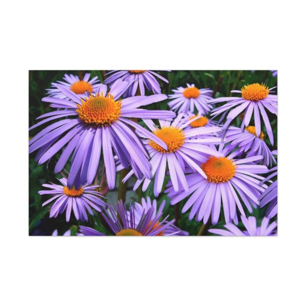91638-401.jpg Wild Flower Standard Canvas