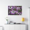 91638-407.jpg Purple Garden Cosmos Standard Canvas
