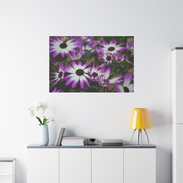91638-407.jpg Purple Garden Cosmos Standard Canvas