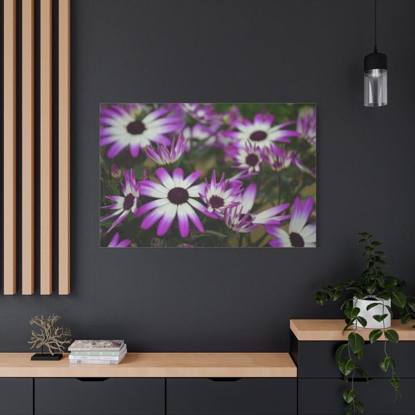 91638-408.jpg Purple Garden Cosmos Standard Canvas