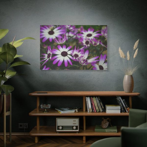91638-409.jpg Purple Garden Cosmos Standard Canvas