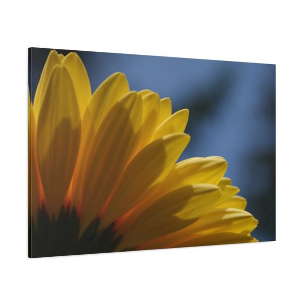 91638-410.jpg Daisy Gerbera Standard Canvas