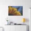 91638-412.jpg Daisy Gerbera Standard Canvas