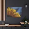91638-413.jpg Daisy Gerbera Standard Canvas