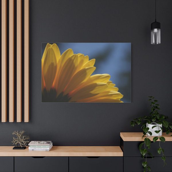 91638-413.jpg Daisy Gerbera Standard Canvas