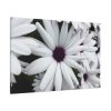 91638-415.jpg Flower Petal Standard Canvas