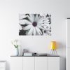 91638-417.jpg Flower Petal Standard Canvas