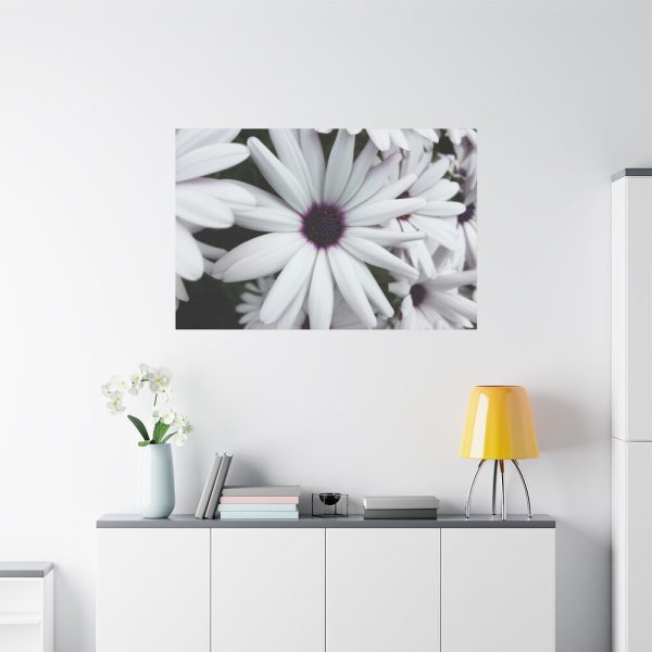 91638-417.jpg Flower Petal Standard Canvas