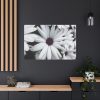 91638-418.jpg Flower Petal Standard Canvas
