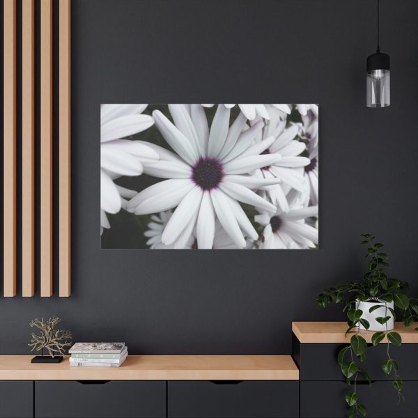 91638-418.jpg Flower Petal Standard Canvas