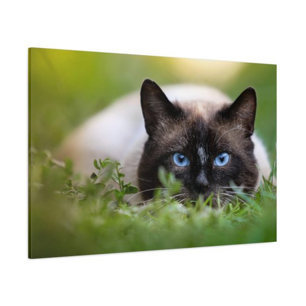 91638-425.jpg Cat Hunting Standard Canvas