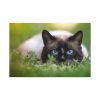 91638-426.jpg Cat Hunting Standard Canvas