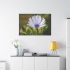 91638-437.jpg Herbaceous Plant Standard Canvas