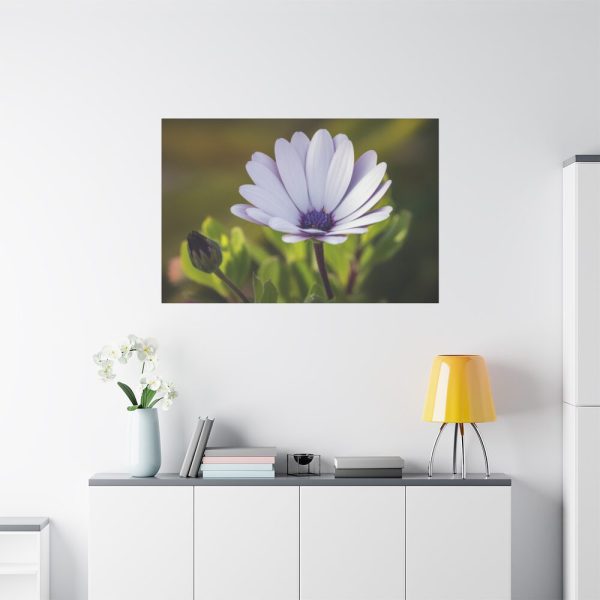 91638-437.jpg Herbaceous Plant Standard Canvas