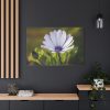 91638-438.jpg Herbaceous Plant Standard Canvas